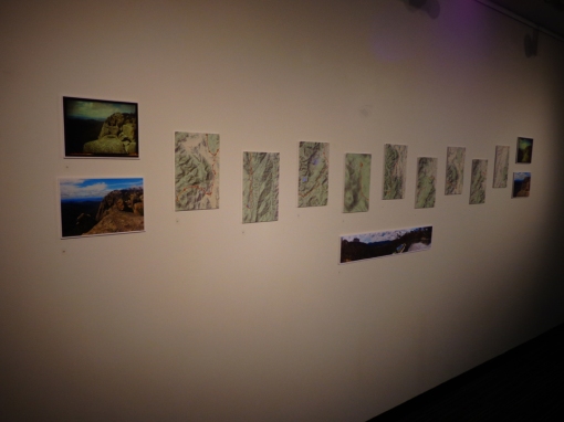 Wall 2 of the show - photo by Martin Drury